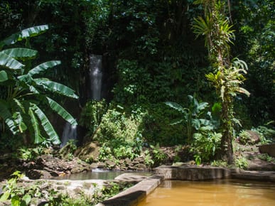 Papillote Tropical Gardens